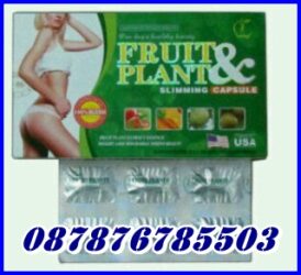Pelangsing Badan Fruit N Plant